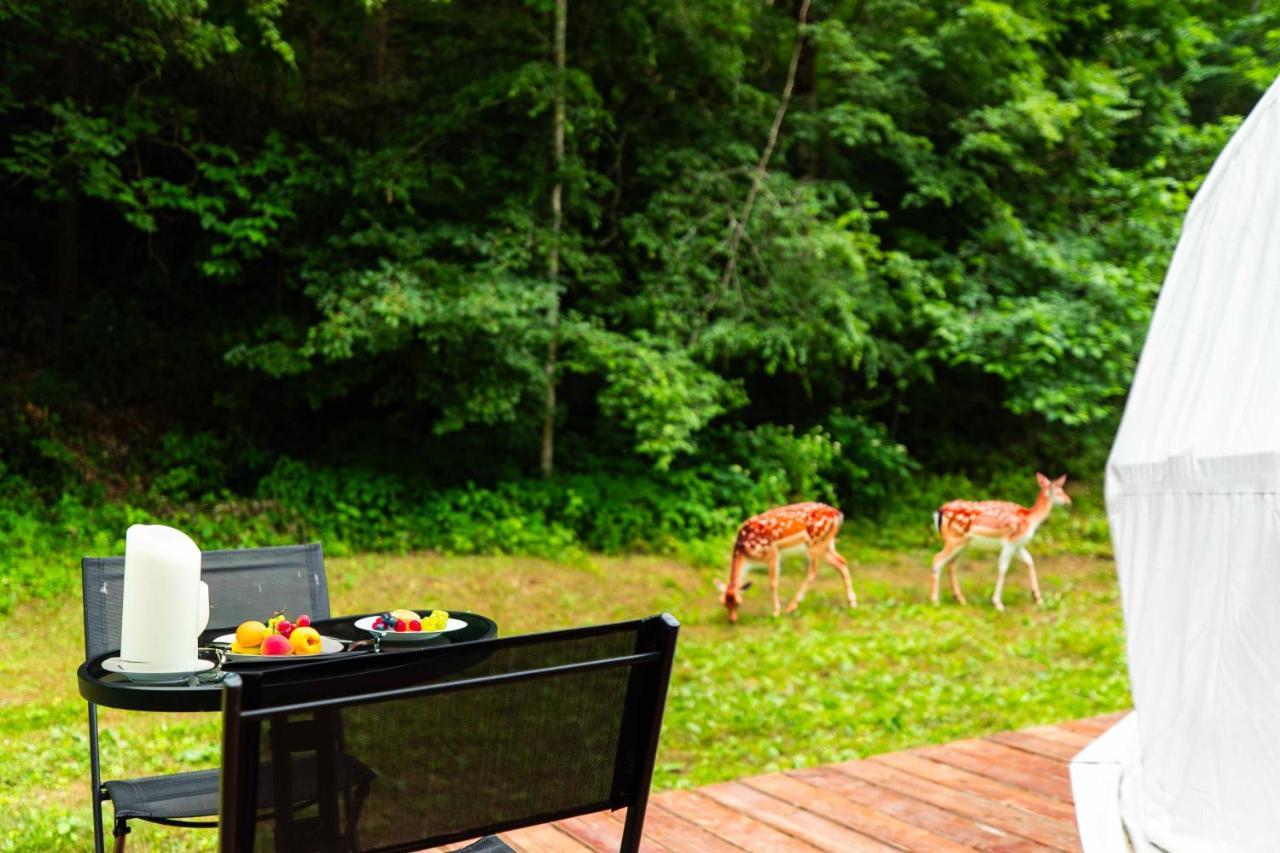 Solace Glamping 2 Sevierville Extérieur photo